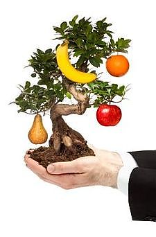 Coaching für Unternehmer*innen, Selbstständige, Freiberufler*innen in Münster & Bonn